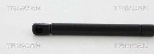 Gas Spring, boot/cargo area