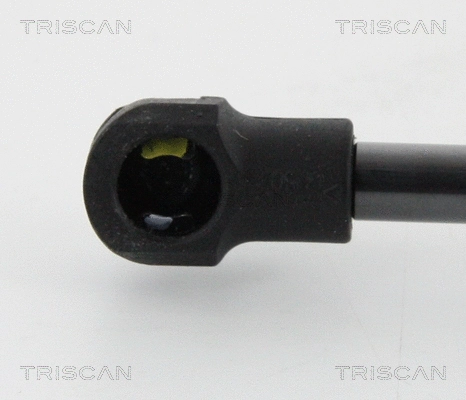Gas Spring, boot/cargo area
