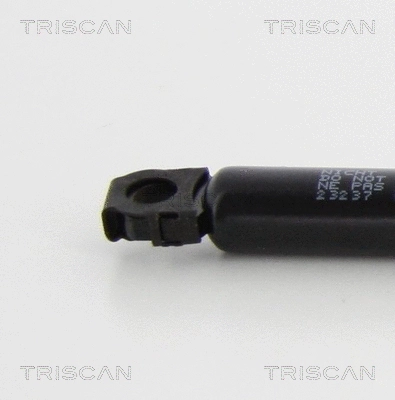 Gas Spring, boot/cargo area