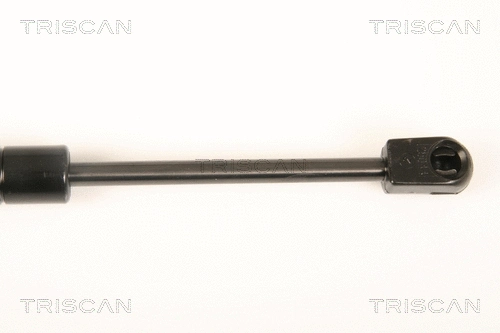 Gas Spring, boot/cargo area