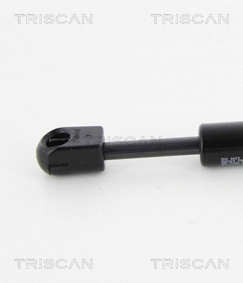 Gas Spring, boot/cargo area