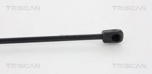 Gas Spring, boot/cargo area