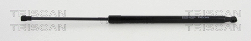 Gas Spring, boot/cargo area