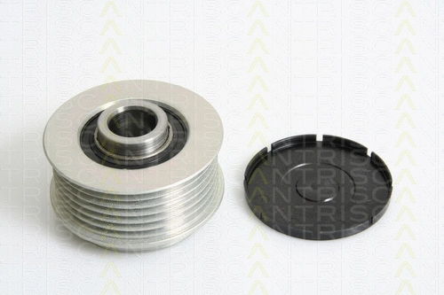 Alternator Freewheel Clutch (8641 104013)