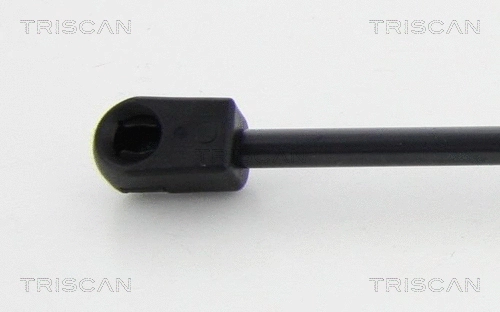 Gas Spring, boot/cargo area (8710 80213)