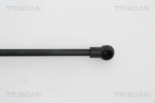 Gas Spring, boot/cargo area