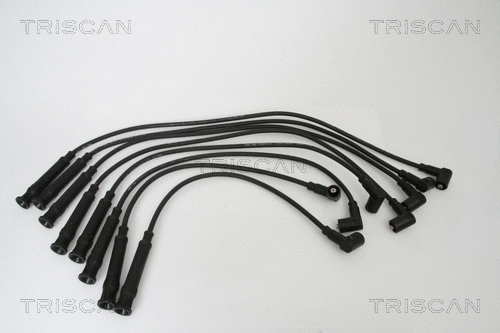 Ignition Cable Kit (8860 15003)