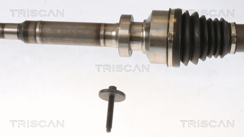 Drive Shaft