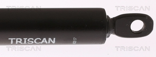 Gas Spring, bonnet