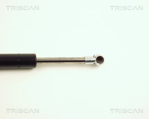 Gas Spring, boot/cargo area