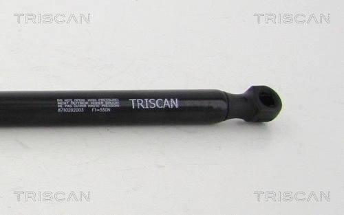 Gas Spring, boot/cargo area