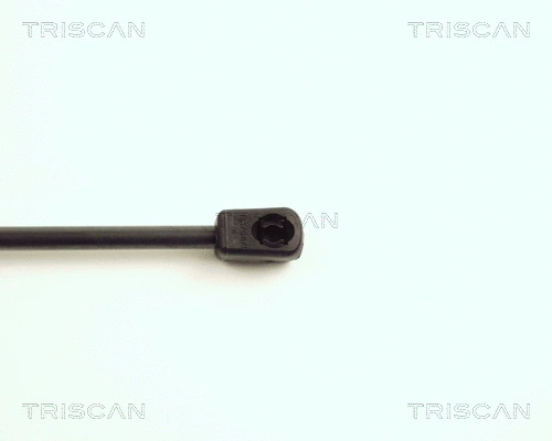 Gas Spring, boot/cargo area