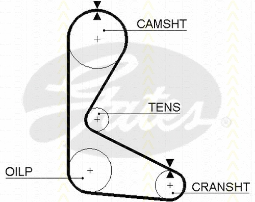 Timing Belt