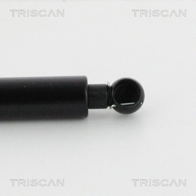Gas Spring, boot/cargo area