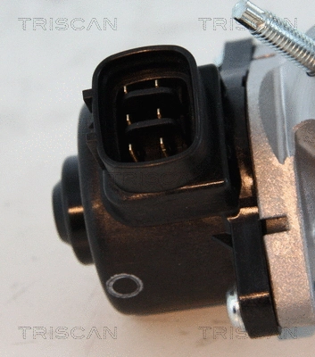 EGR Valve
