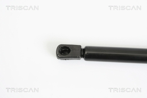 Gas Spring, bonnet