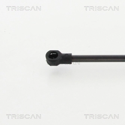 Gas Spring, bonnet
