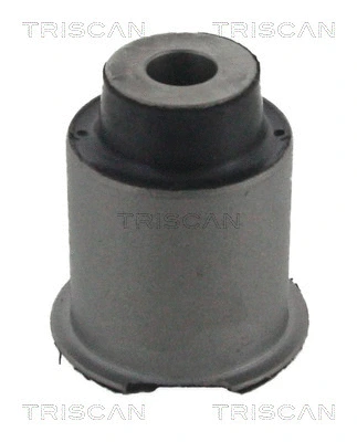 Mounting, control/trailing arm (8500 17804)