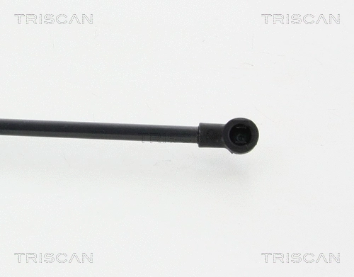 Gas Spring, boot/cargo area