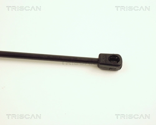 Gas Spring, bonnet