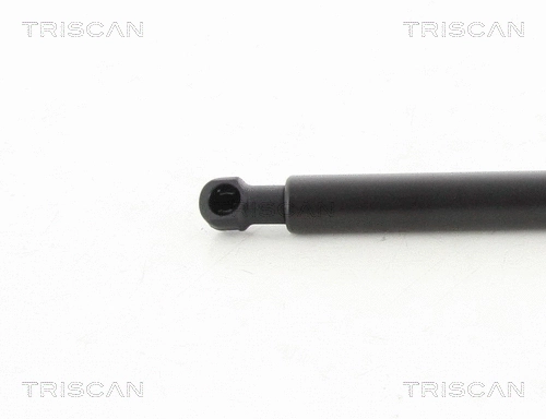 Gas Spring, boot/cargo area