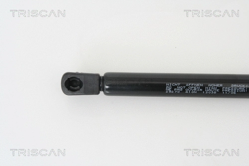 Gas Spring, boot/cargo area