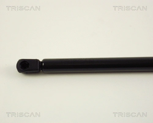 Gas Spring, boot/cargo area
