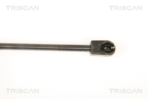 Gas Spring, bonnet