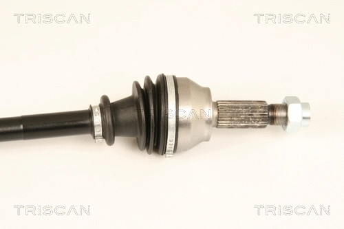 Drive Shaft
