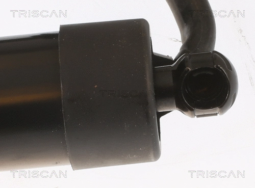 Gas Spring, boot/cargo area