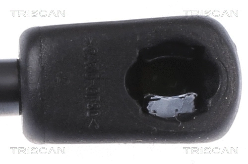Gas Spring, bonnet