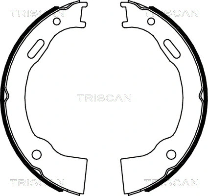 Brake Shoe Set, parking brake (8100 80014)