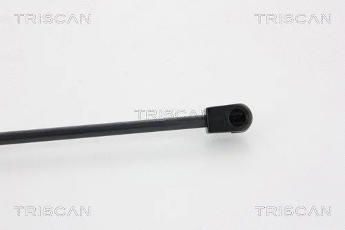 Gas Spring, boot/cargo area