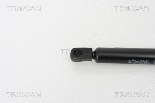 Gas Spring, boot/cargo area