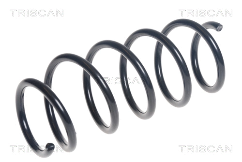 Suspension Spring (8750 16125)