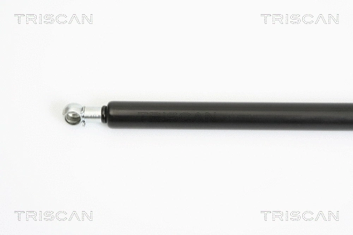 Gas Spring, boot/cargo area
