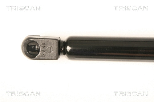 Gas Spring, boot/cargo area