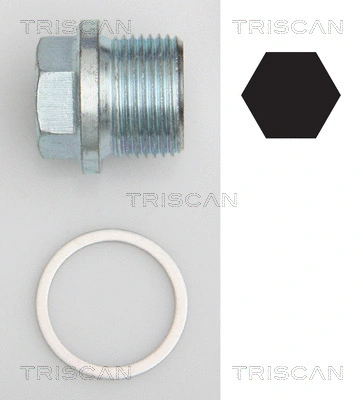 Screw Plug, oil sump (9500 1102)
