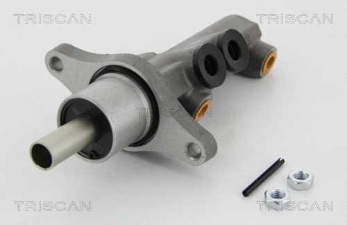 Brake Master Cylinder (8130 29181)