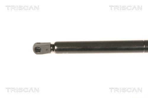 Gas Spring, boot/cargo area
