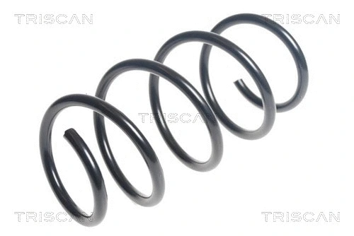 Suspension Spring (8750 29435)