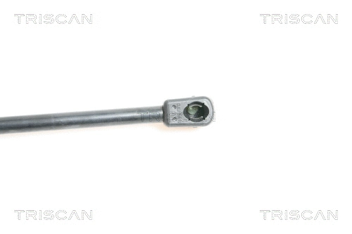 Gas Spring, boot/cargo area