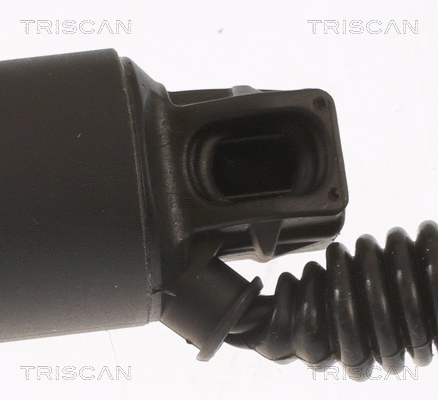 Gas Spring, boot/cargo area