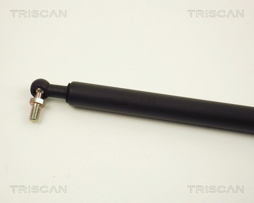 Gas Spring, boot/cargo area