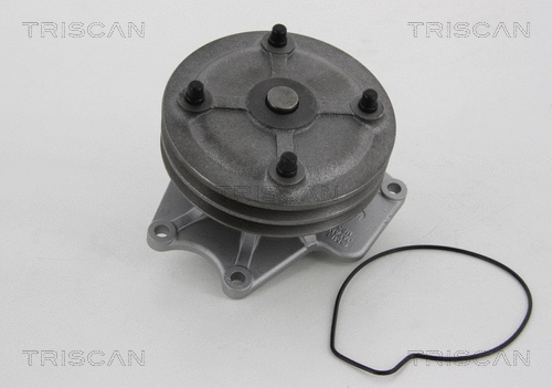 Water Pump, engine cooling (8600 42018)