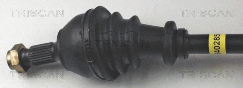 Drive Shaft