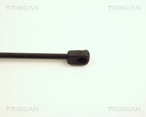 Gas Spring, boot/cargo area