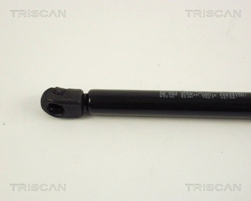 Gas Spring, boot/cargo area