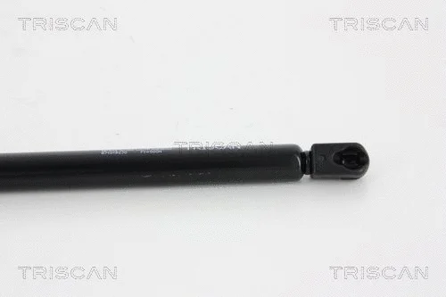 Gas Spring, boot/cargo area