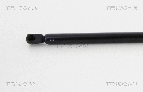 Gas Spring, boot/cargo area
